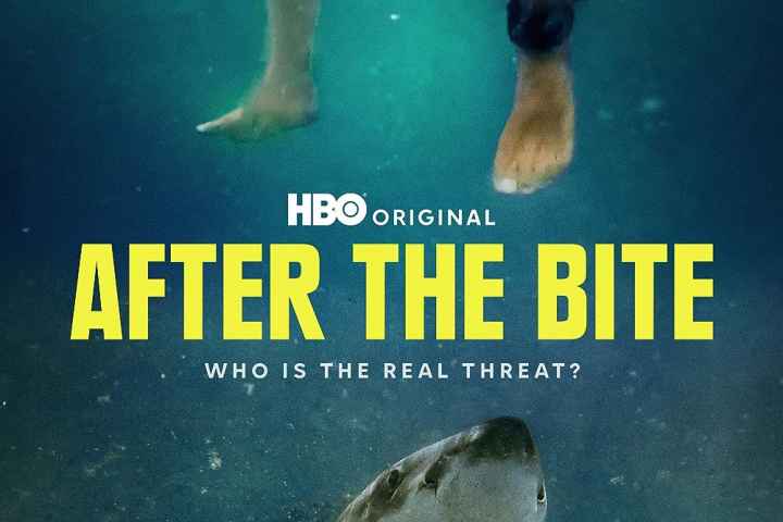 After the Bite