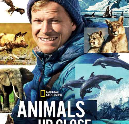 Animals Up Close with Bertie Gregory