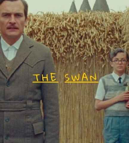The Swan
