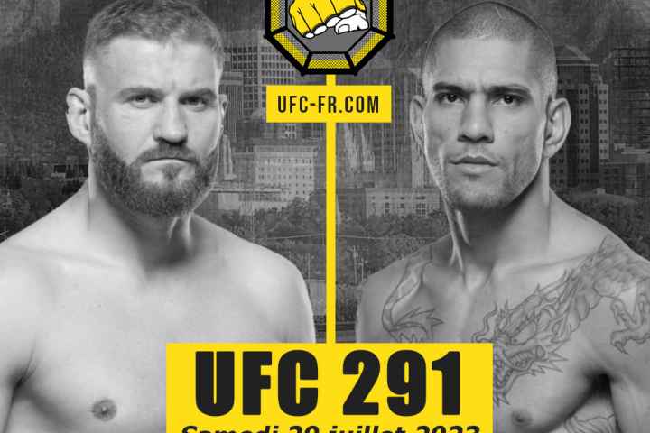 UFC 291
