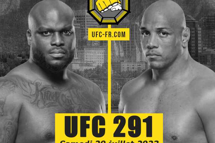 UFC 291