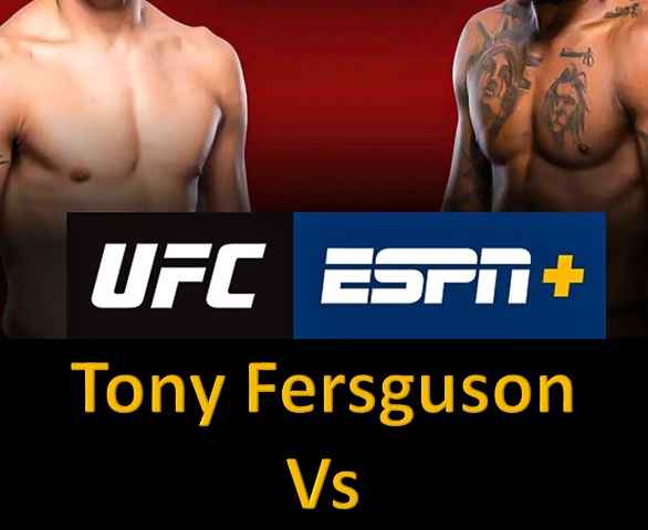 UFC 291
