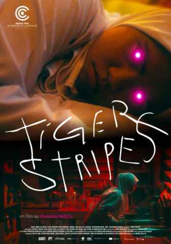 Tiger Stripes