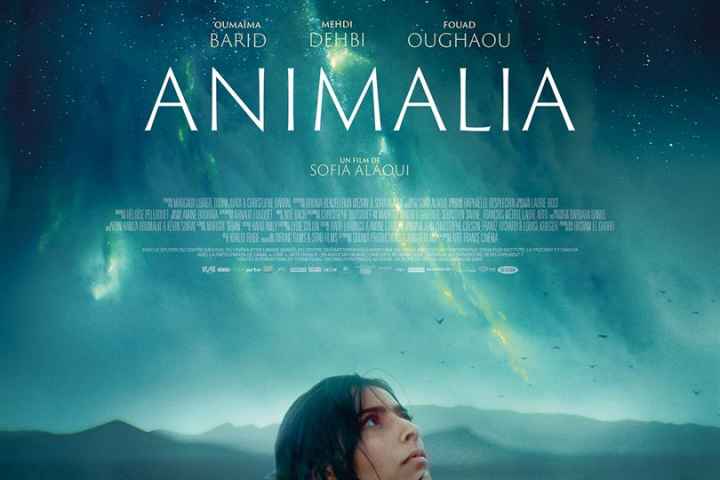 Animalia