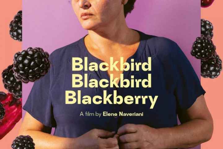 Blackbird Blackbird Blackberry