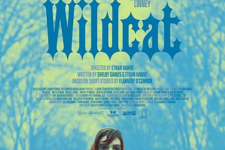 Wildcat