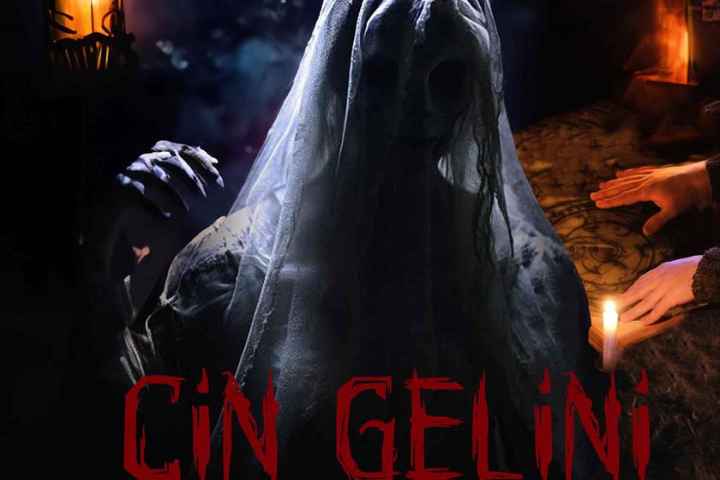 Cin Gelini