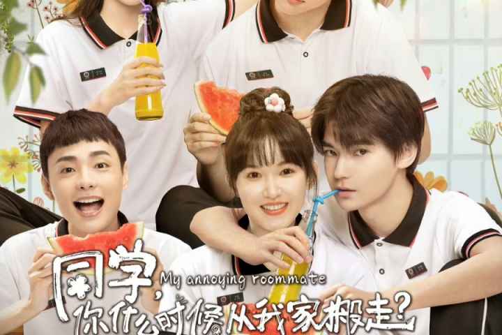 My Annoying Roommate