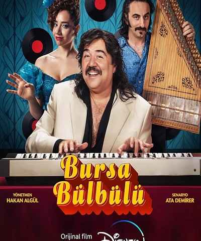 Bursa Bulbulu