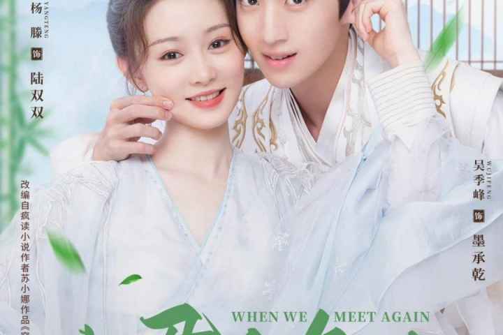 When We Meet Again