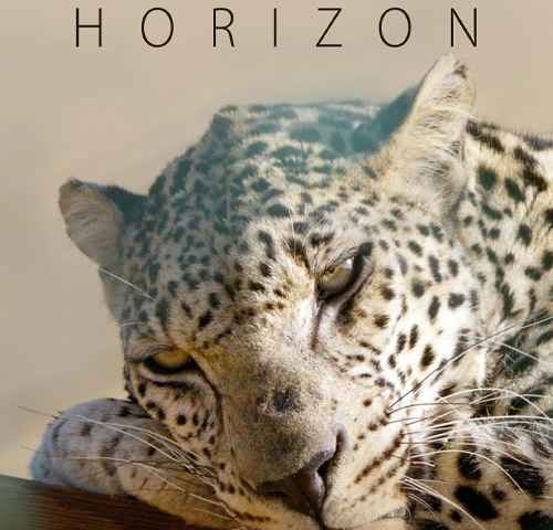 Horizon