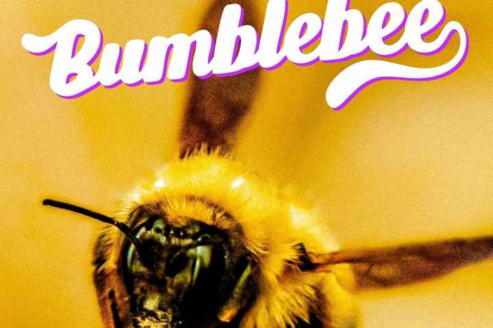 The Last Bumblebee