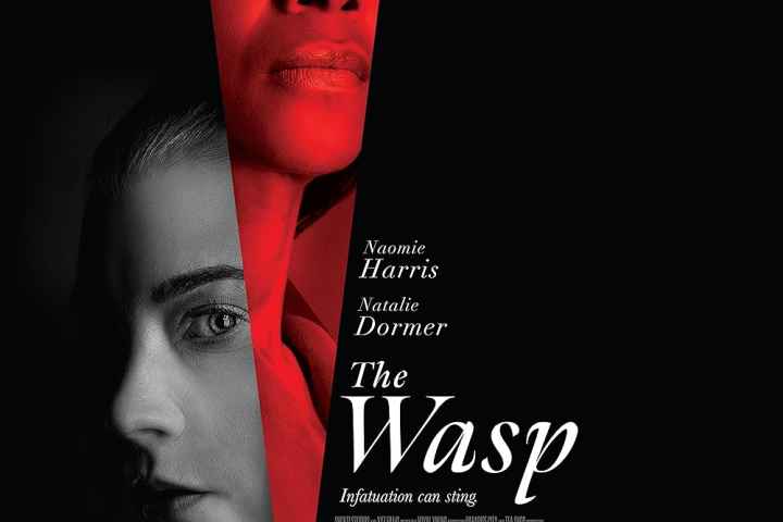 The Wasp