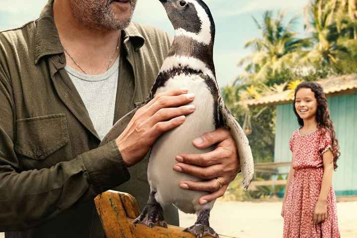 My Penguin Friend