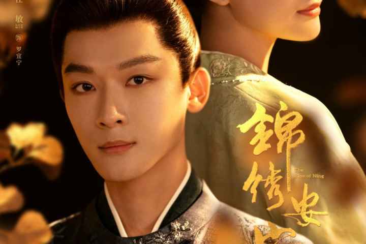 The Rise of Ning