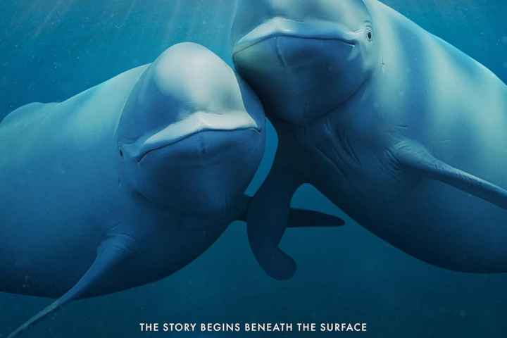 Our Oceans