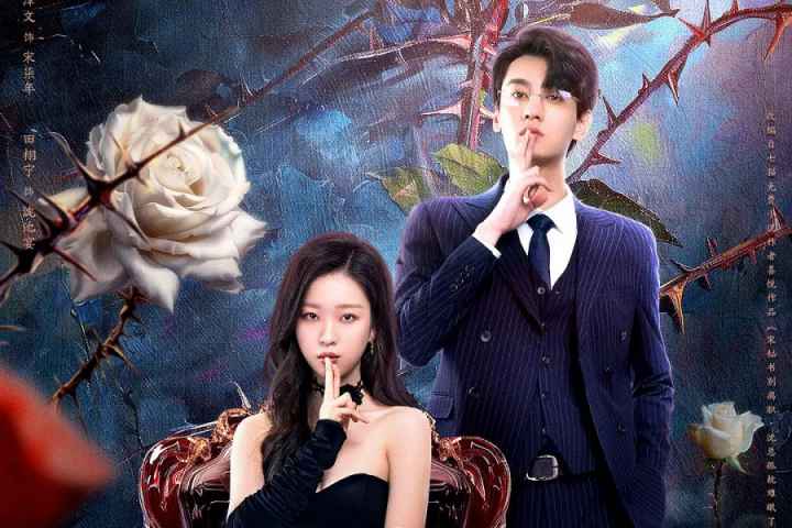 The Silent Wife