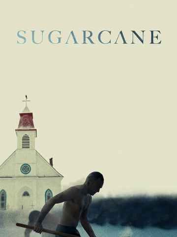 Sugarcane