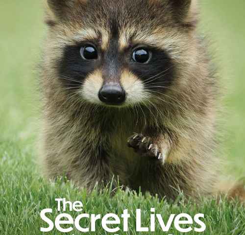 The Secret Lives of Animals