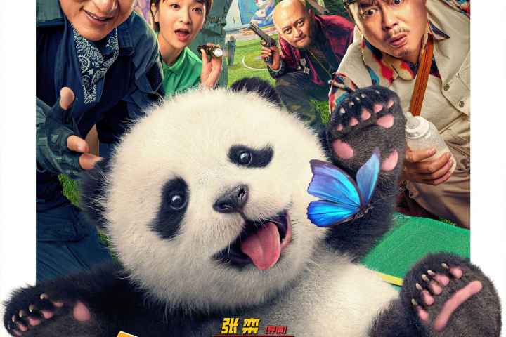 Panda Plan