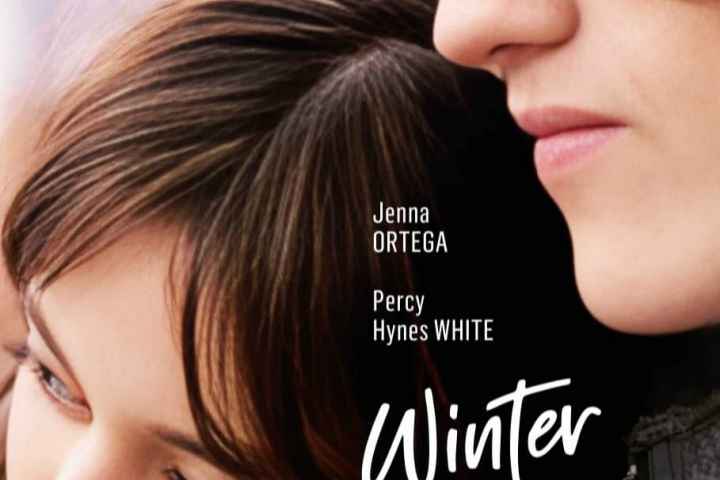 Winter Spring Summer or Fall