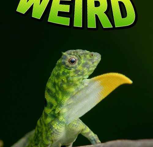 Planet Weird