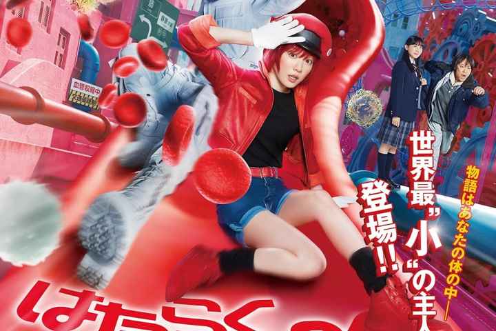 Cells at Work