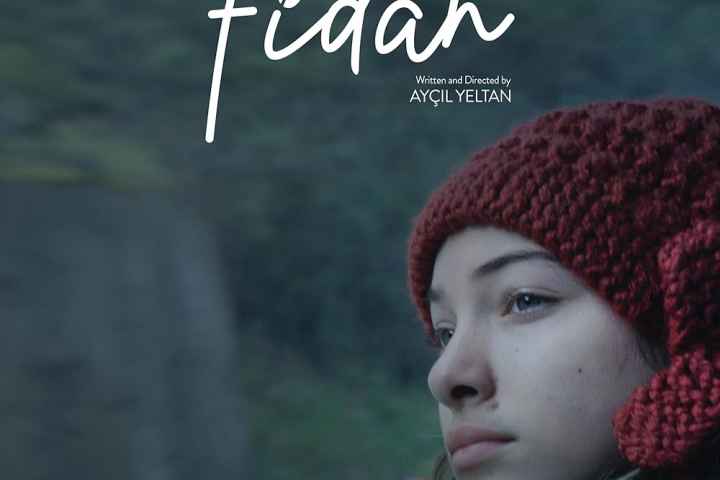 Fidan