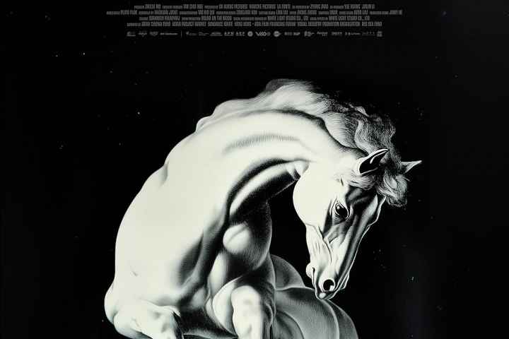 To Kill A Mongolian Horse