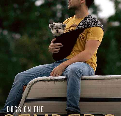 Dogs on the Sendero