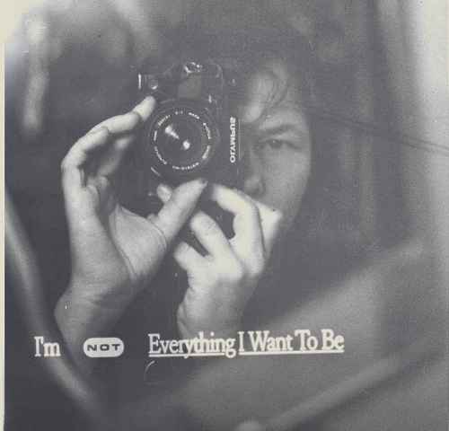 Im Not Everything I Want to Be