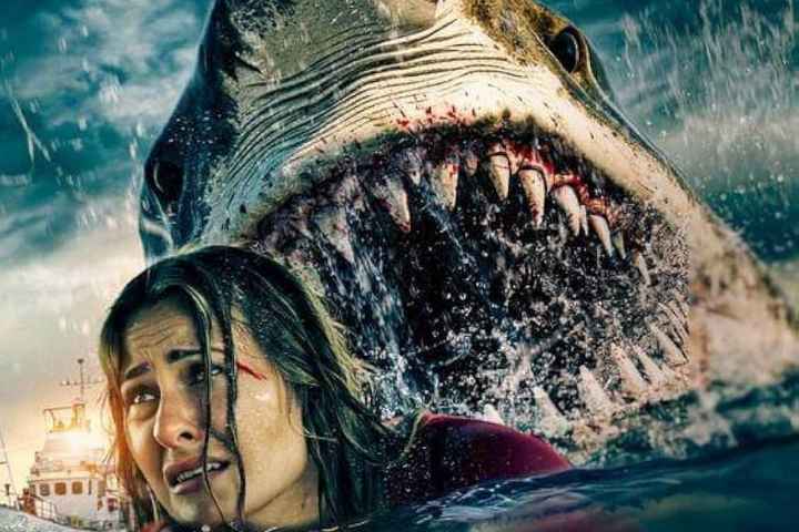 Into the Deep