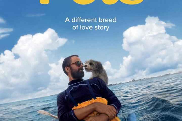 Pets