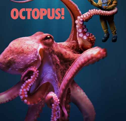 Octopus