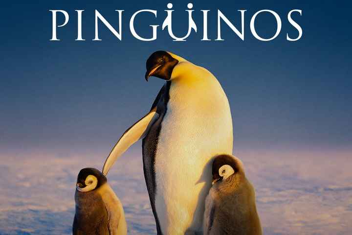 Secrets of the Penguins
