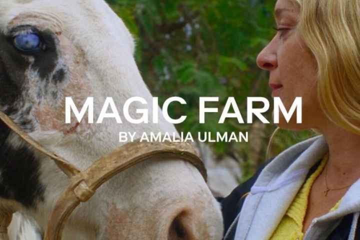 Magic Farm