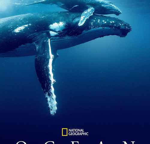 Ocean with David Attenborough