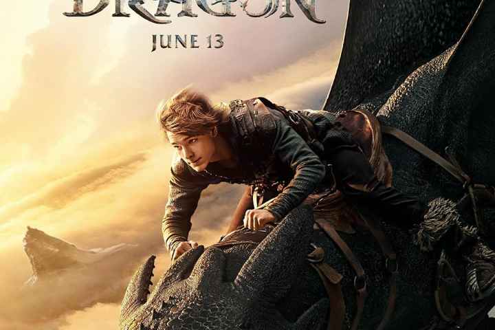 How to Train Your Dragon