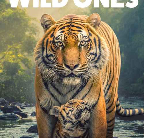 The Wild Ones