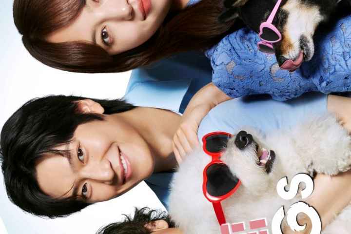 Love is for the Dogs