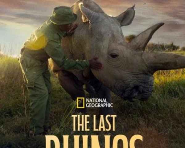 The Last Rhinos A New Hope