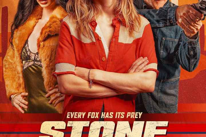 Stone Cold Fox