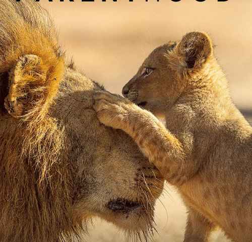 Parenthood
