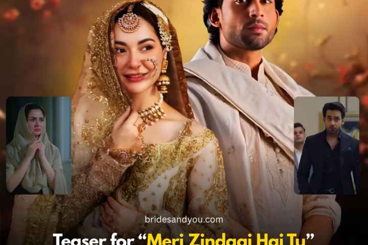 Meri Zindagi Hai Tu
