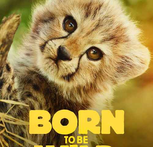 Born to be Wild