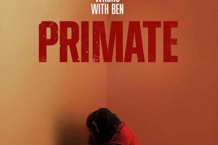 Primate