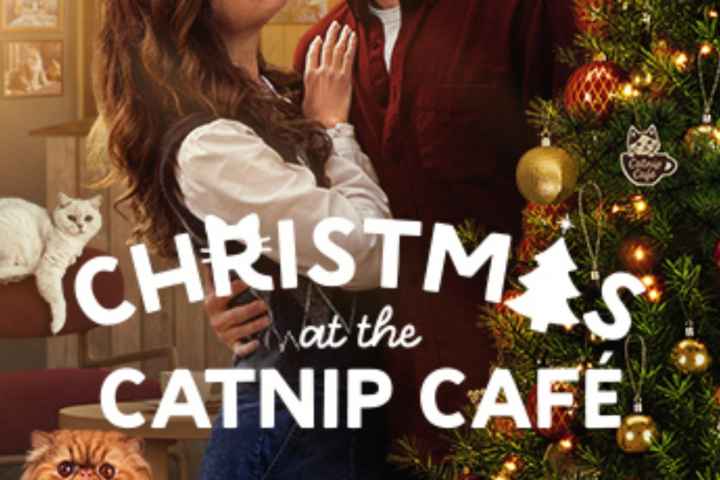 Christmas at the Catnip Cafe