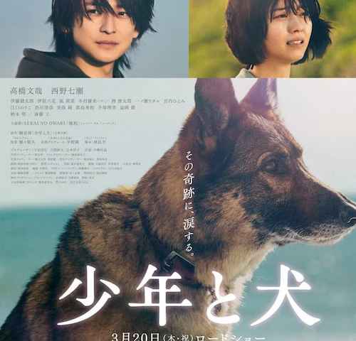 The Boy and the Dog