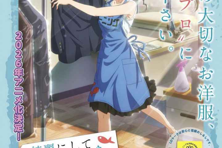 Kirei ni Shitemoraemasu ka