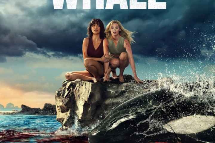 Killer Whale